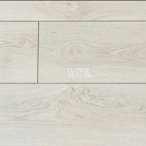 Ламинат Kronopol Platinium Milo d3305 Дуб Нике фото 1 | FLOORDEALER